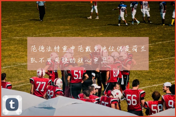 范德法特重申范戴克地位仍是荷兰队不可或缺的核心中卫